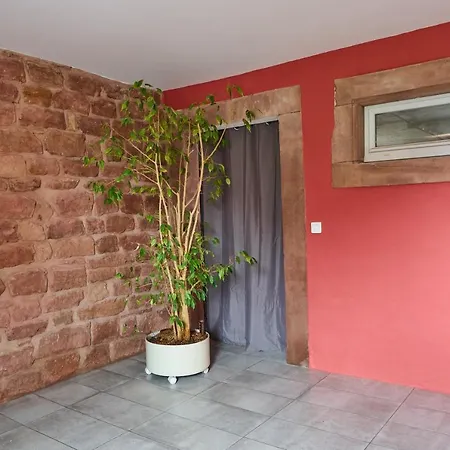 Le Noyer - Appt Avec Terrasse Et Jardin Partage
