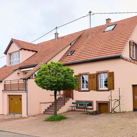 Le Noyer - Appt Avec Terrasse Et Jardin Partage Apartment Puberg