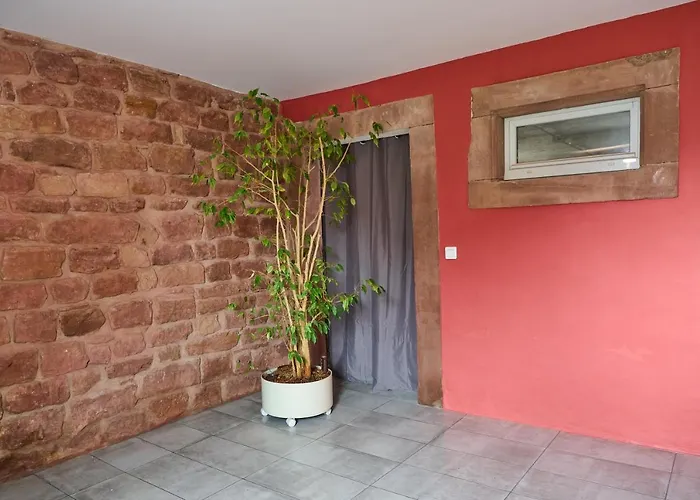 Le Noyer - Appt Avec Terrasse Et Jardin Partage